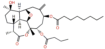 Briarellin C